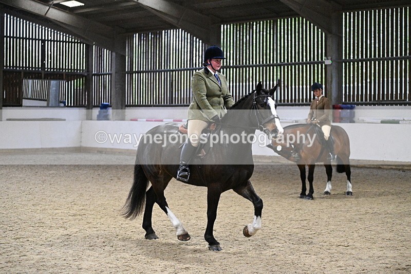 WJ7_3945 - Class 17 Ridden Cob