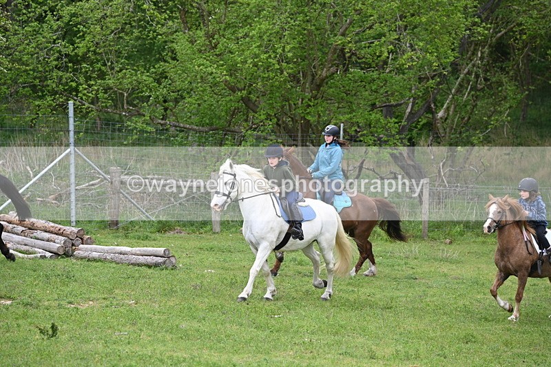 WJ6_3013 - A Camera