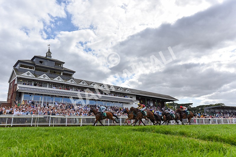 030824-Race 3-Alligator Alley-2442 - Race 3