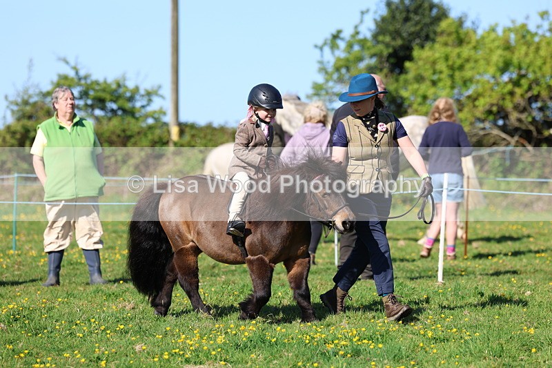 3E7A8747 - Class 2: Lead rein