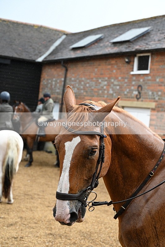 WJ7_6958 - Berks & Bucks at Blandy’s Farm 31-08-25