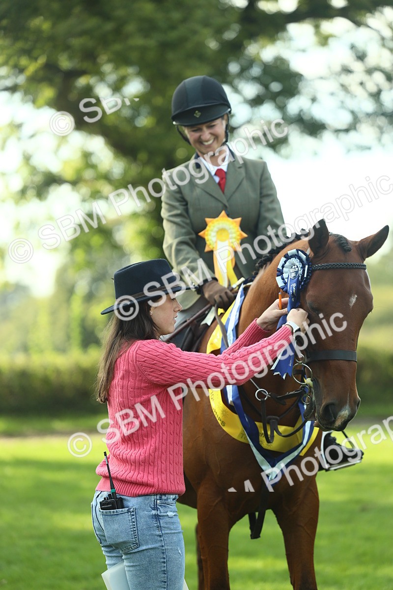 SBM_52295 - Working Hunter Supreme Championship