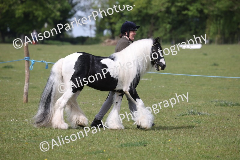 20260426-3272 - Class 27 - Coloured Horses and Ponies