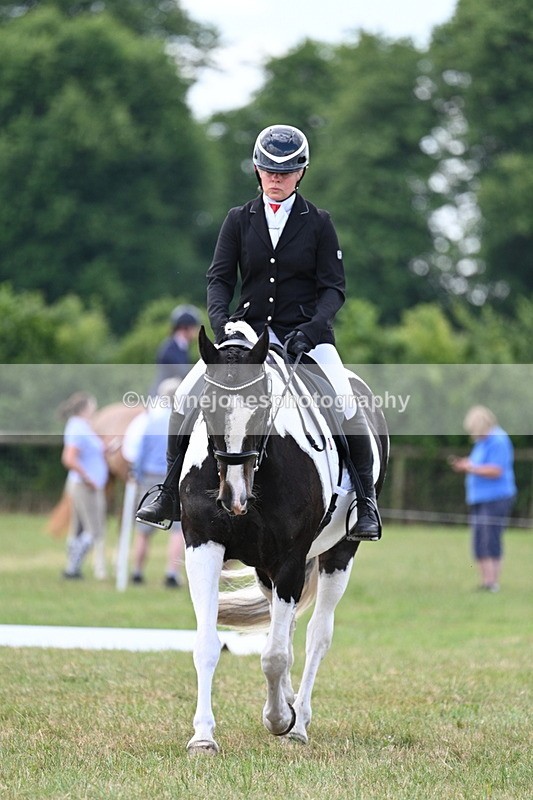 WJ7_5210 - Time 11:22 to 11:51