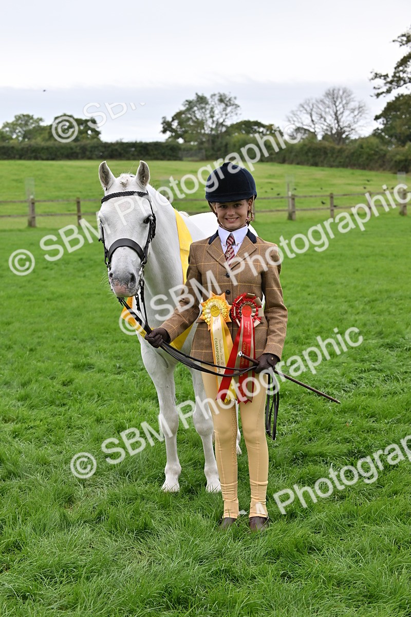 SBM_65054 - In Hand Pony & Younstock Supreme Championship