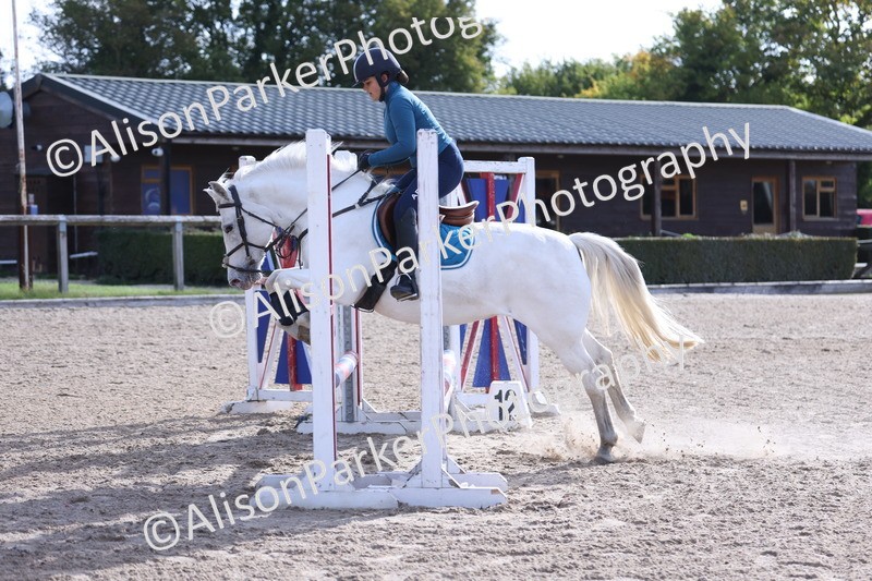 20251005-0334 - Class 3 - 60cm