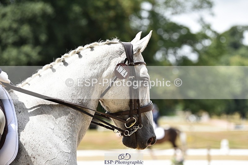 140110A-013934-10984 - 174-Letitia.Pickles-Calypsos.Pride