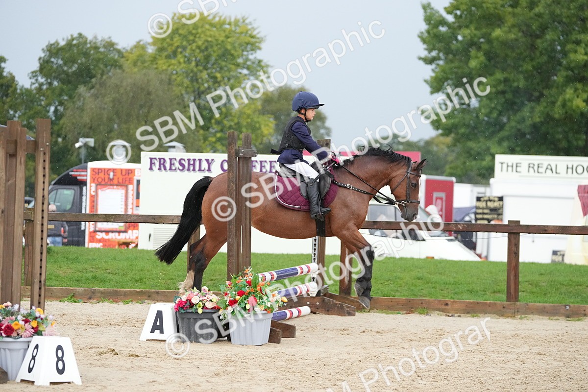 SBM_33836 - J5 - Junior Pony 50cm Championship