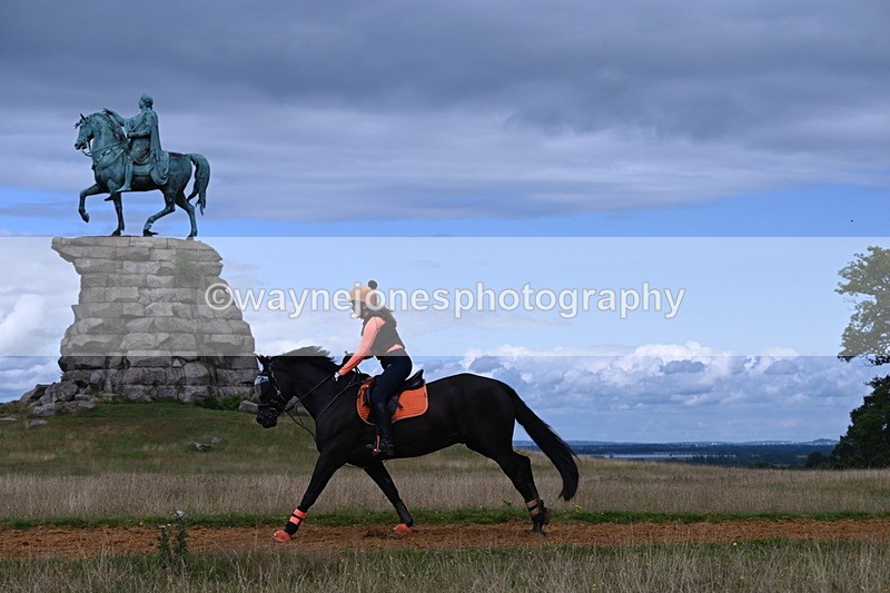 DSC_8848 - Time at Statue 14:33 to 15:10
