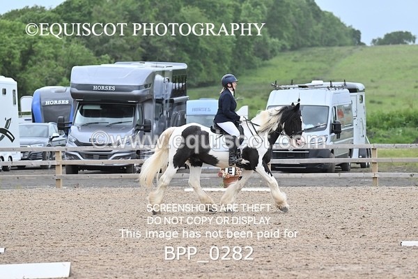 BPP_0282 - 31 E WYLLIE