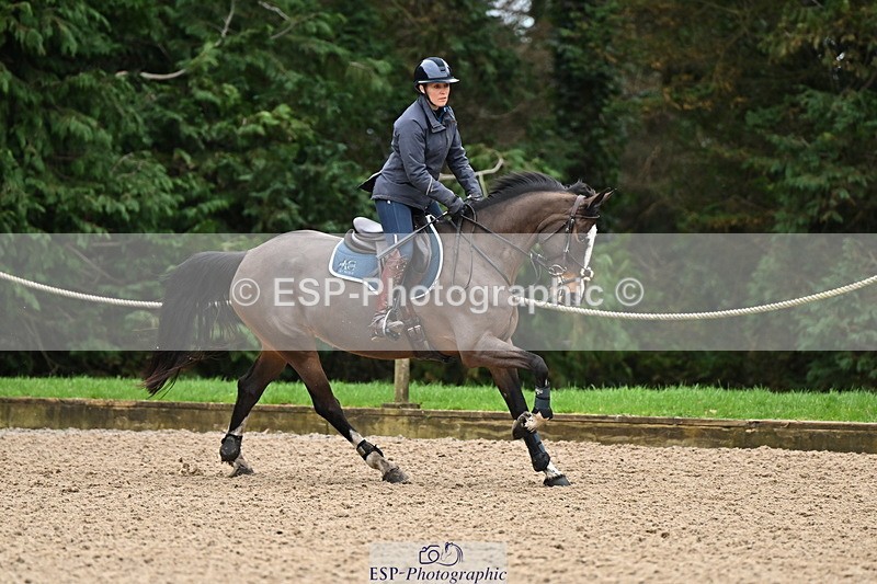 250201A-120037-00564 - Cls 02 Local Horse 100cm