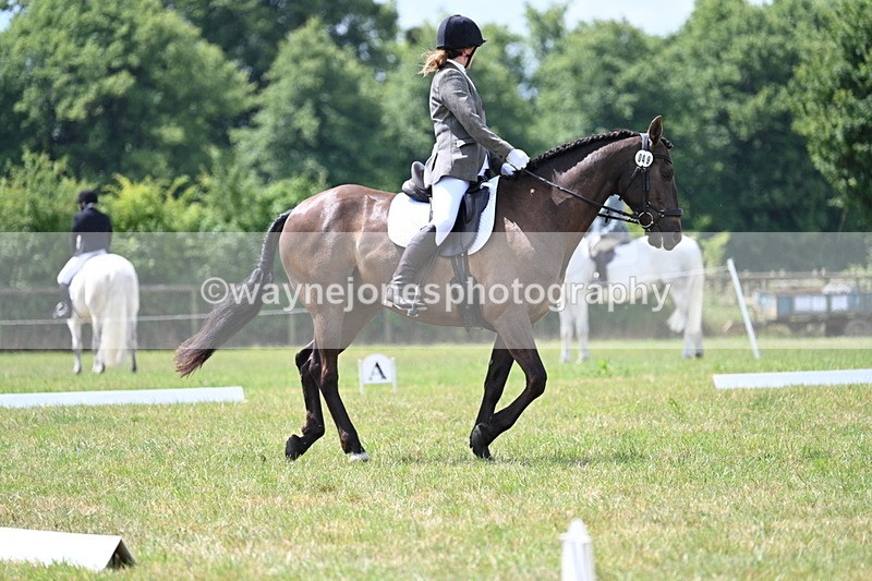 WJ7_4850 - Time 11:22 to 11:51