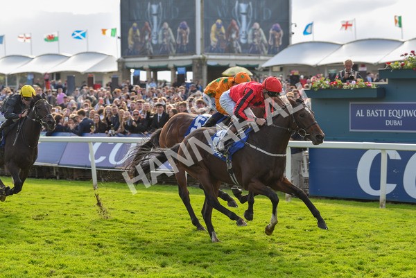 141023-Race 4-Colorada Dancer-1190 - Race 4 3.05pm Coral Racing Club EBF Maiden Stakes