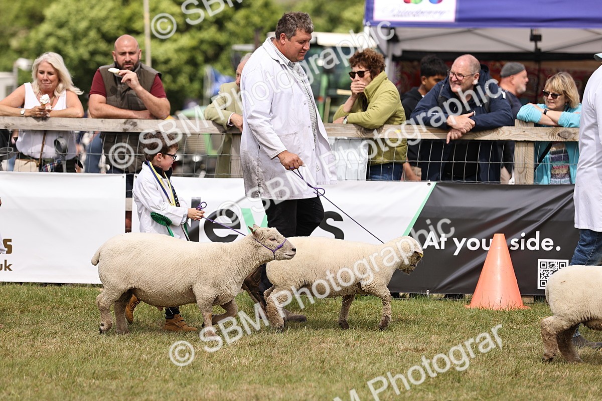 SBM_16848 - Grand Parade