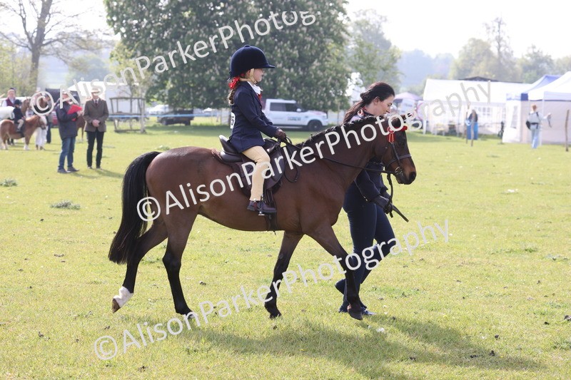 20260426-0371 - Class 30 - Tiny Tots Lead Rein