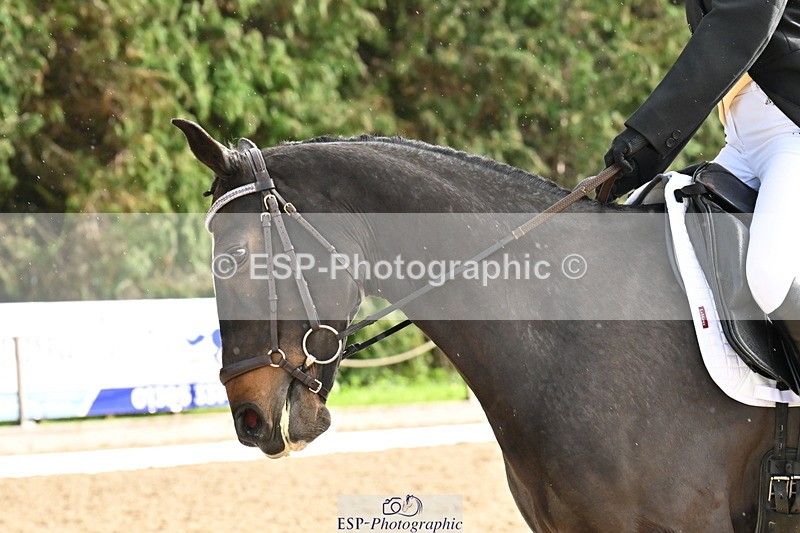 251023A-150304-05330 - C-253-Tabitha.Baker