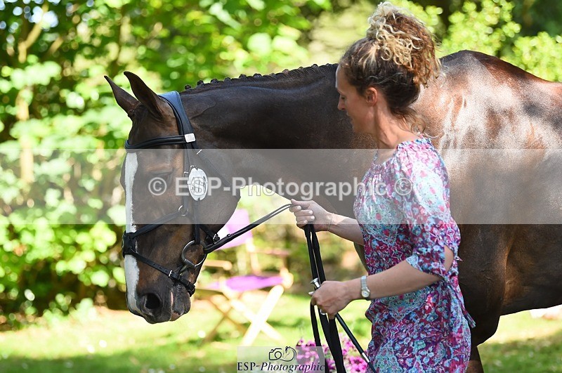 230524-154258-00453 - 376-DIRECT_BALLYTARSNA_DUCAREL-Jodie_Amos-WEDTrotUp+DR