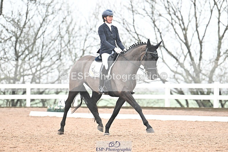 250215-133517-03893 - 165-Elder.Klatzko-Dynasty.Hit