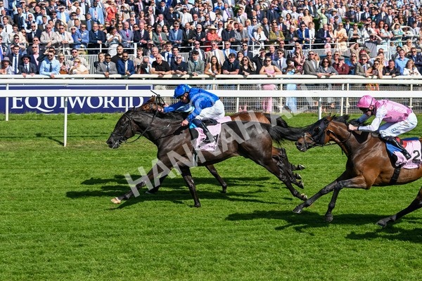 160525-Race 4-Rebels Romance-6725 - Race 4 3.45pm Boodles Yorkshire Cup Stakes