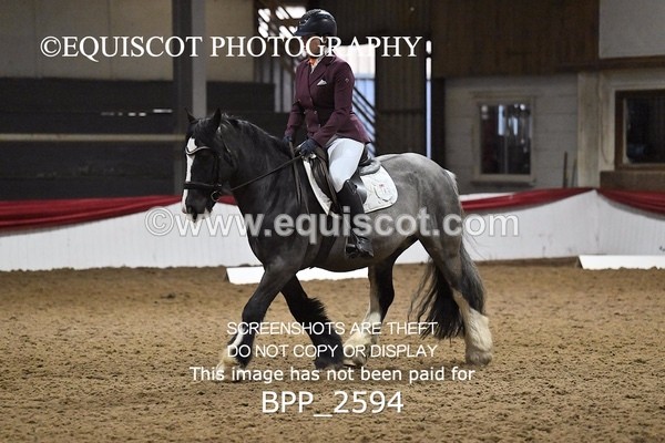 BPP_2594 - MFS PRELIM