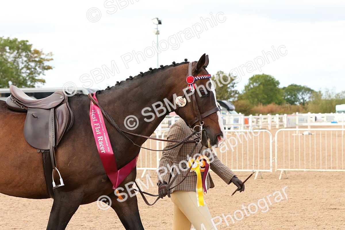 SBM_16304 - Class 217 - Ridden Retired Racehorse