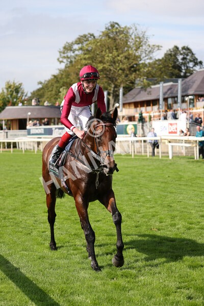 yr18082021r4-102 - Race 4 3.35pm Juddmonte International Stakes (British Champion Series race)