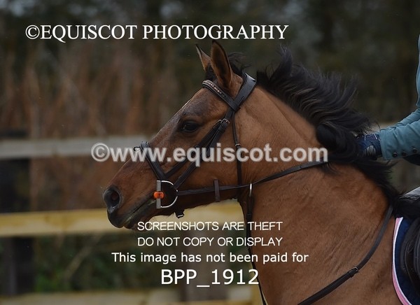 BPP_1912 - CLASS 17 Stepping Stones 128/ 138cms Handicap