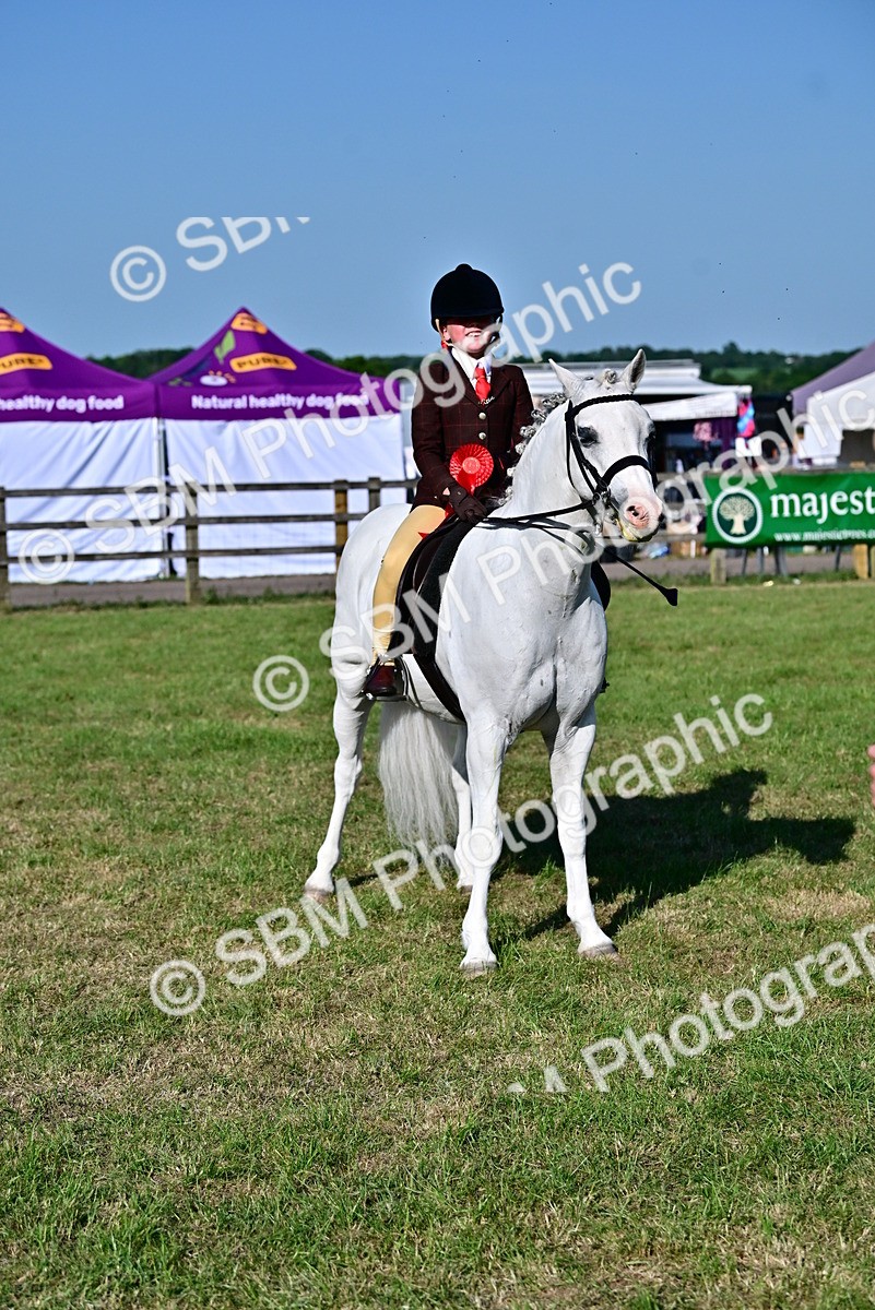 SBM_19894 - Class 103 - 105 - TSR Ridden Amateur of the Year Plaited Ponies