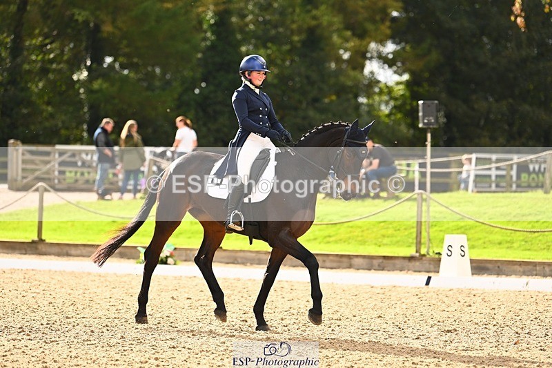 231020-142154-09920 - 307-WELLAN.GRAFFITI-Molly.Evans-DR