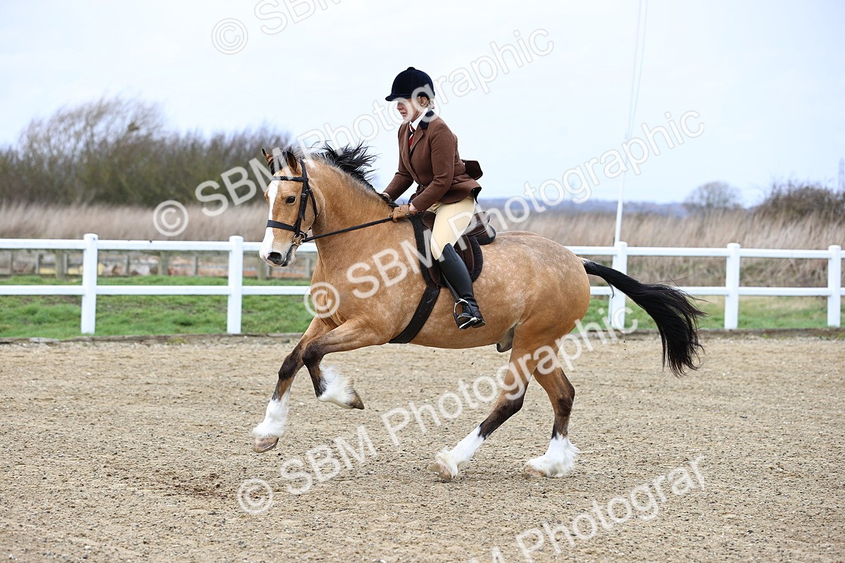 SBM_006940 - Class 29 - 30 - M&M Pure Novice Small-Large Breeds