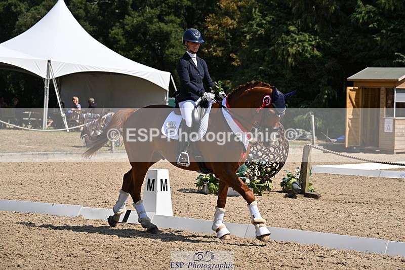 250810A-123412-06386 - Adv Medium GOLD Presentations