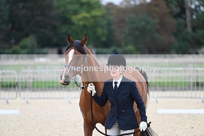 WJ7_1869 - Class 1 & Champs