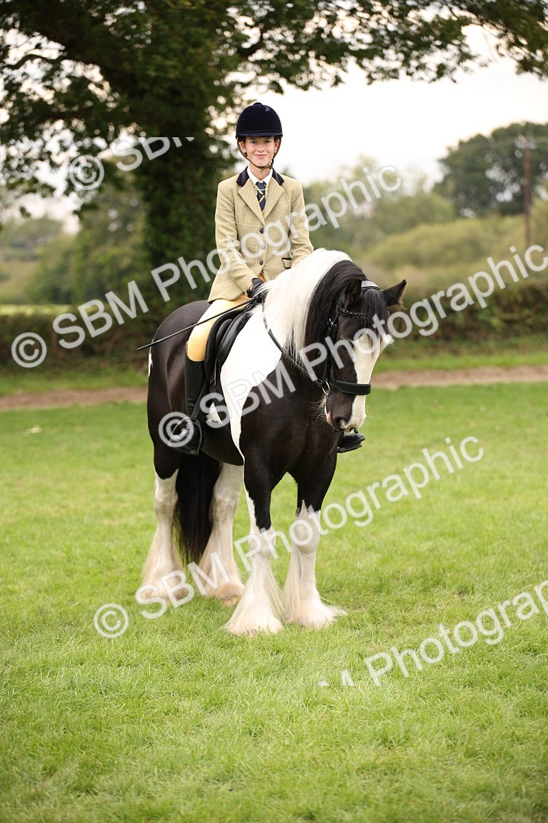 SBM_73465 - S68 - Traditional Cob Ridden