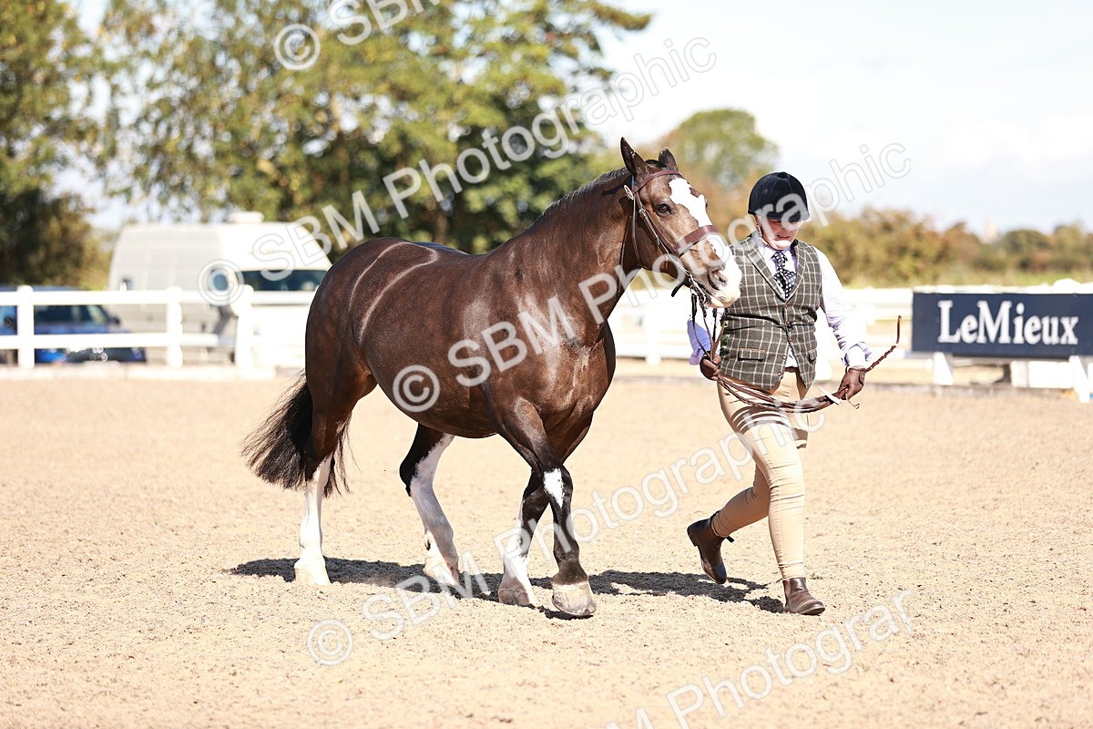 SBM_13241 - Class 405 - IH Show Cob