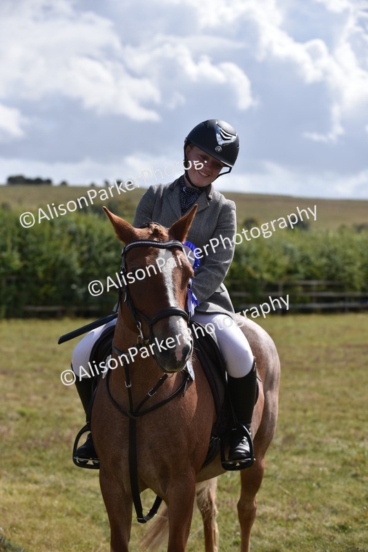 20250831-4044 - Class 12 - Working Hunter Pony 14.2hh and Under