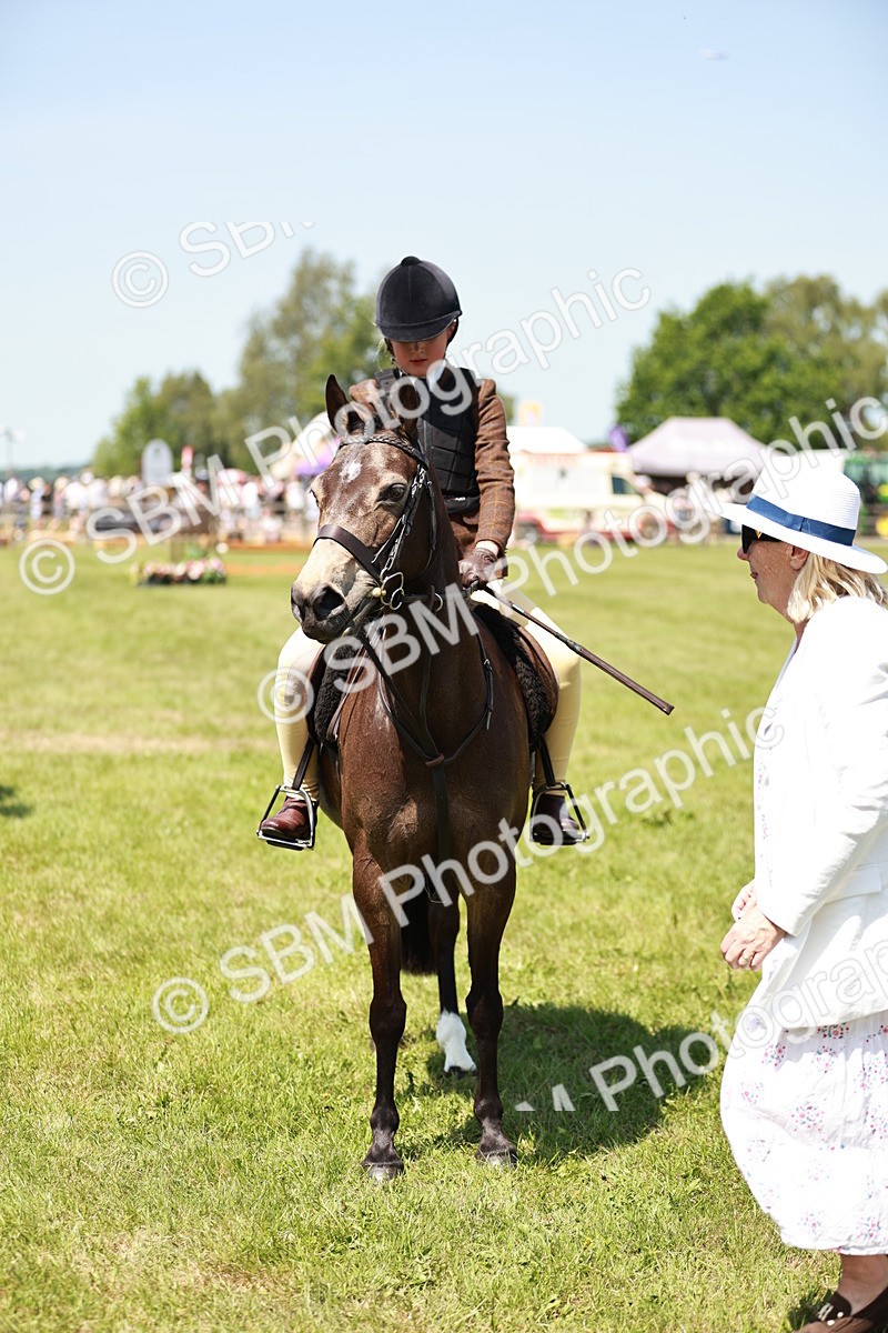 SBM_15808 - Class 108-109 - BSPS LIHS Open Gradle & Nursery Stakes