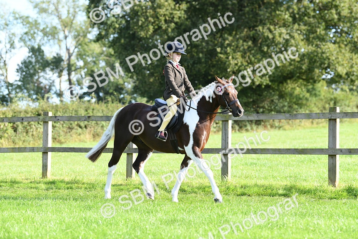 SBM_52371 - S22 - 1st Ridden Show & Show Hunter Pony