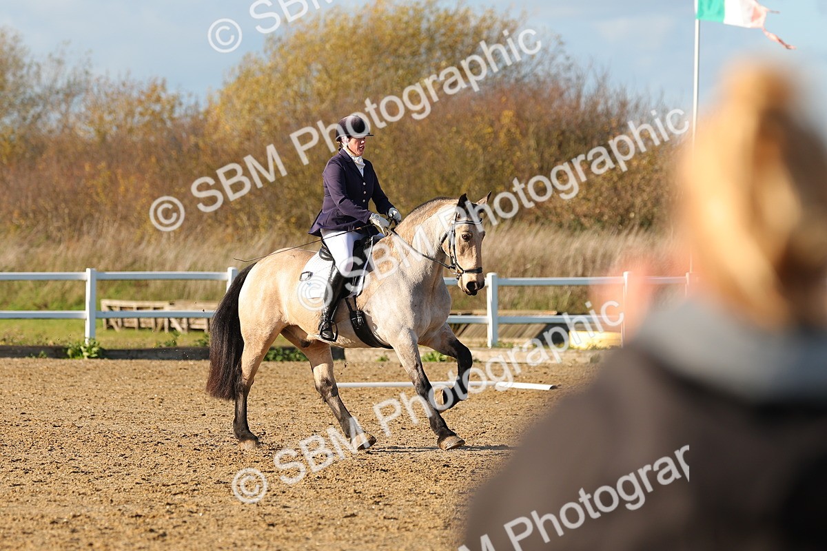 SBM_001556 - Medium 3