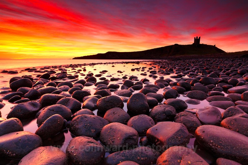 Dunstanburgh Castle Sunrise   ref 4086 - Northumberland
