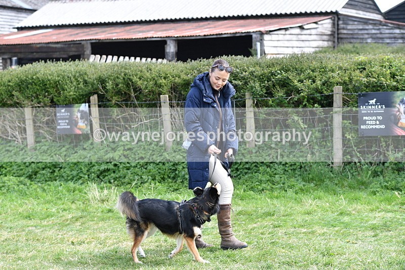 WJ5_0722 - Best in Show Championship