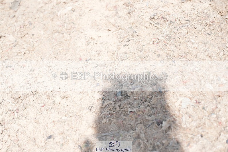 250815-135203-01366 - 1.30pm Presentations