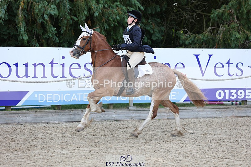 240823X-093347-14563 - 60cm R1 8.30 to 10.00