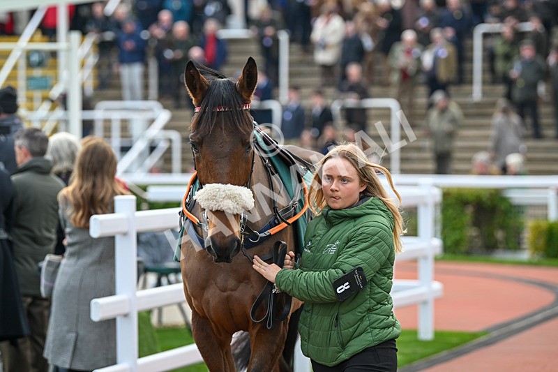 161124-Race 3-Paddock-Western Zephyr-9858 - Race 3