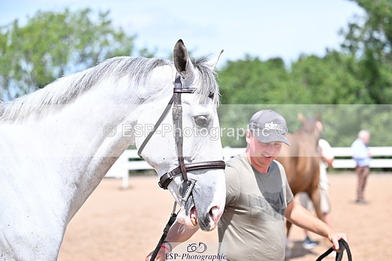 250716-123933-00095 - Trot Up 12.30 to 1.30