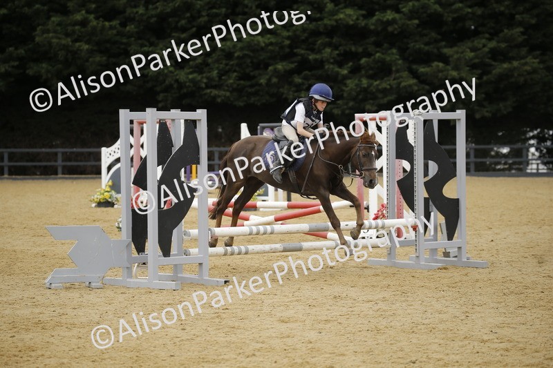 20250622-6049 - 60cm