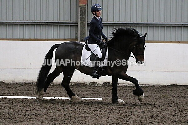 SIAL3869 - CAbin Dressage 5th july 2025