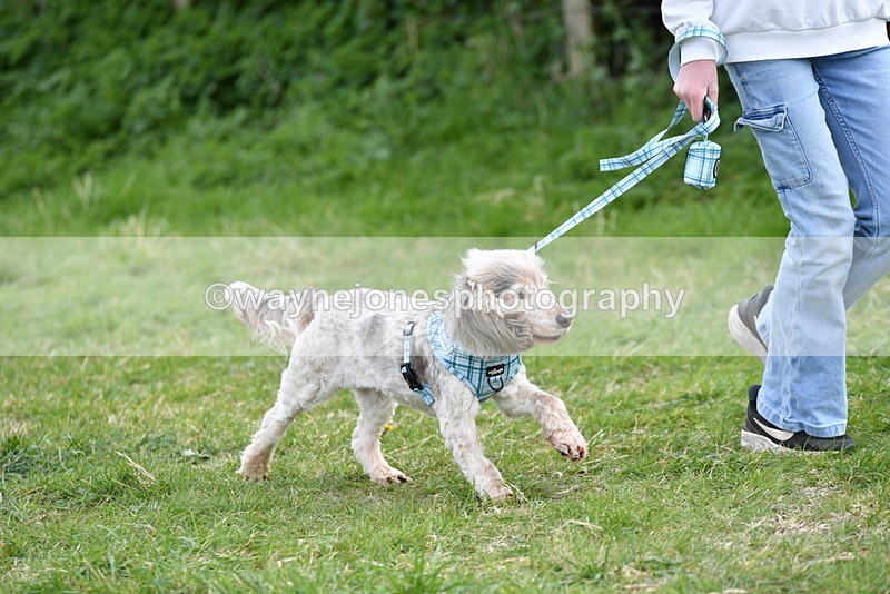 WJ5_0099 - Class 5 Best Veteran / 7 years & over