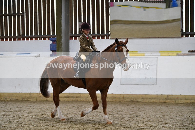 WJ5_6386 - Class 9 Ridden Veteran