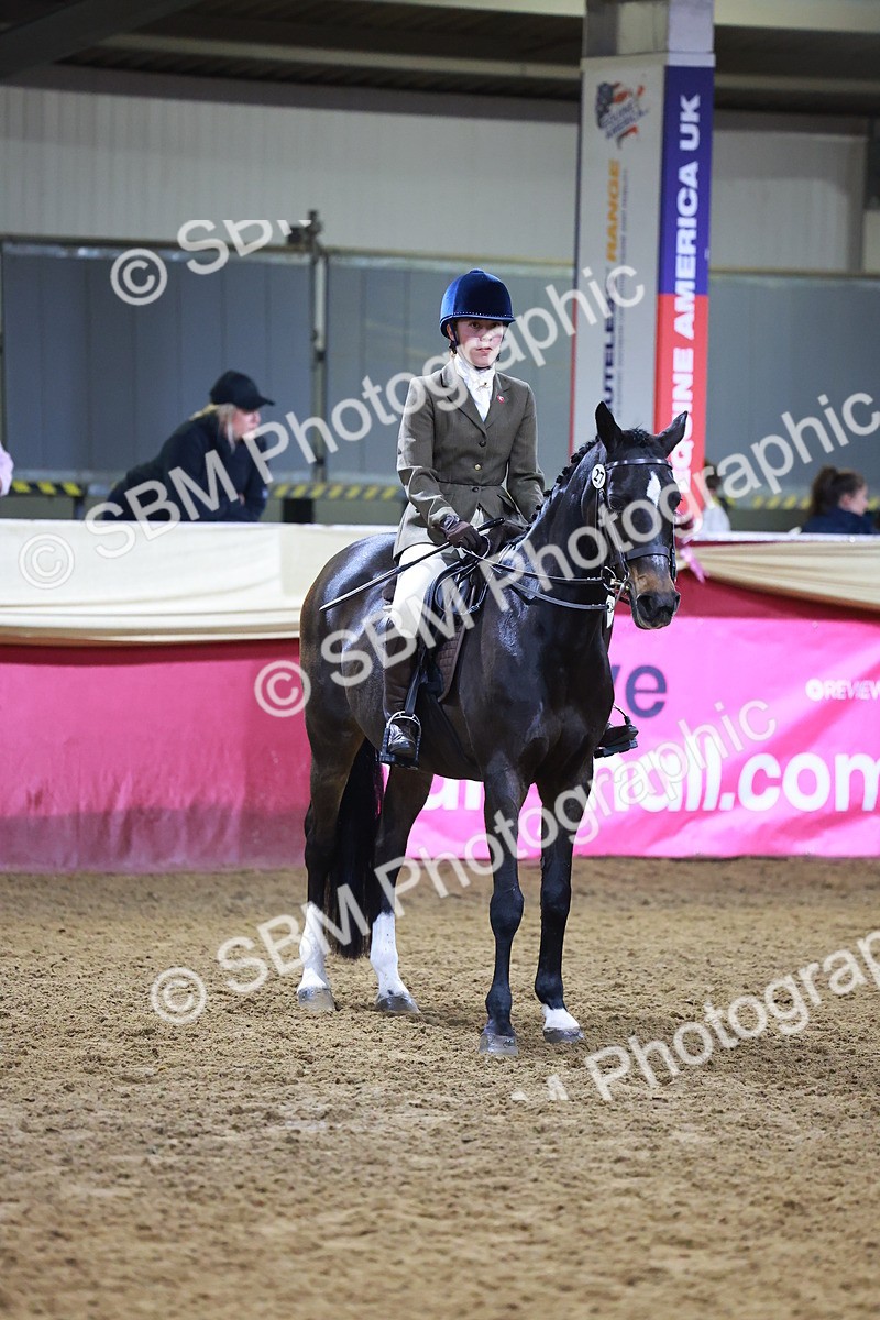 SBM_15731 - Class T - Working Veteran Champ