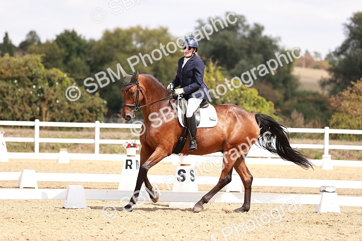 SBM_018521 - Class 17 - Novice 6